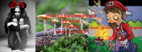 гидропоника Алексин
