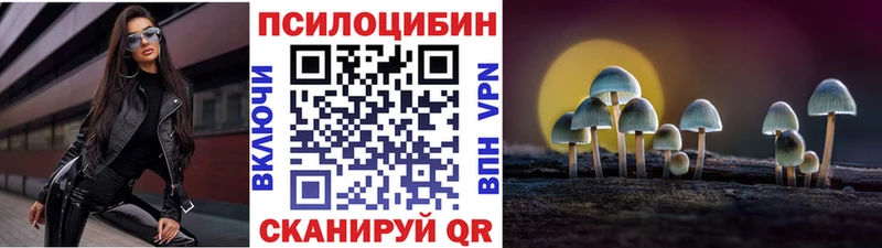 где купить   Борзя  Галлюциногенные грибы мицелий 