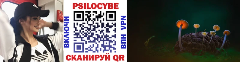 Галлюциногенные грибы Psilocybe Борзя